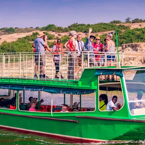 5 DAYS WILDLIFE SAFARIS AND PRIMATE EXPERIENCE