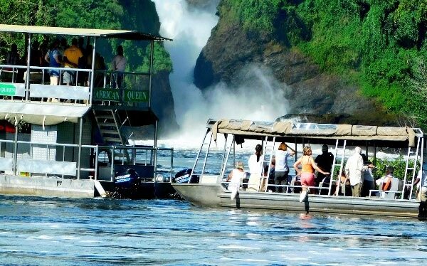 7 DAYS MURCHISON FALLS, CHIMPS AND GORILLA TREKKING