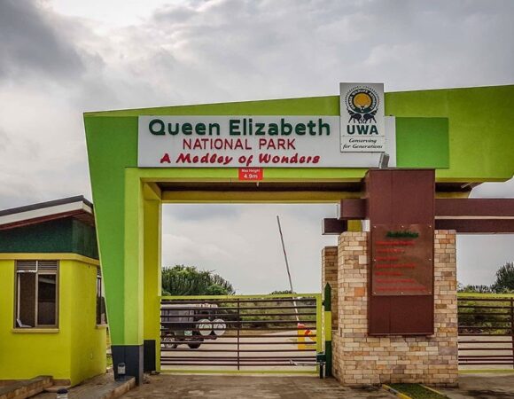 3 DAYS QUEEN ELIZABETH NATIONAL PARK.