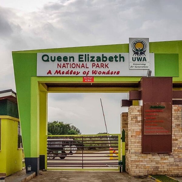 3 DAYS QUEEN ELIZABETH NATIONAL PARK.